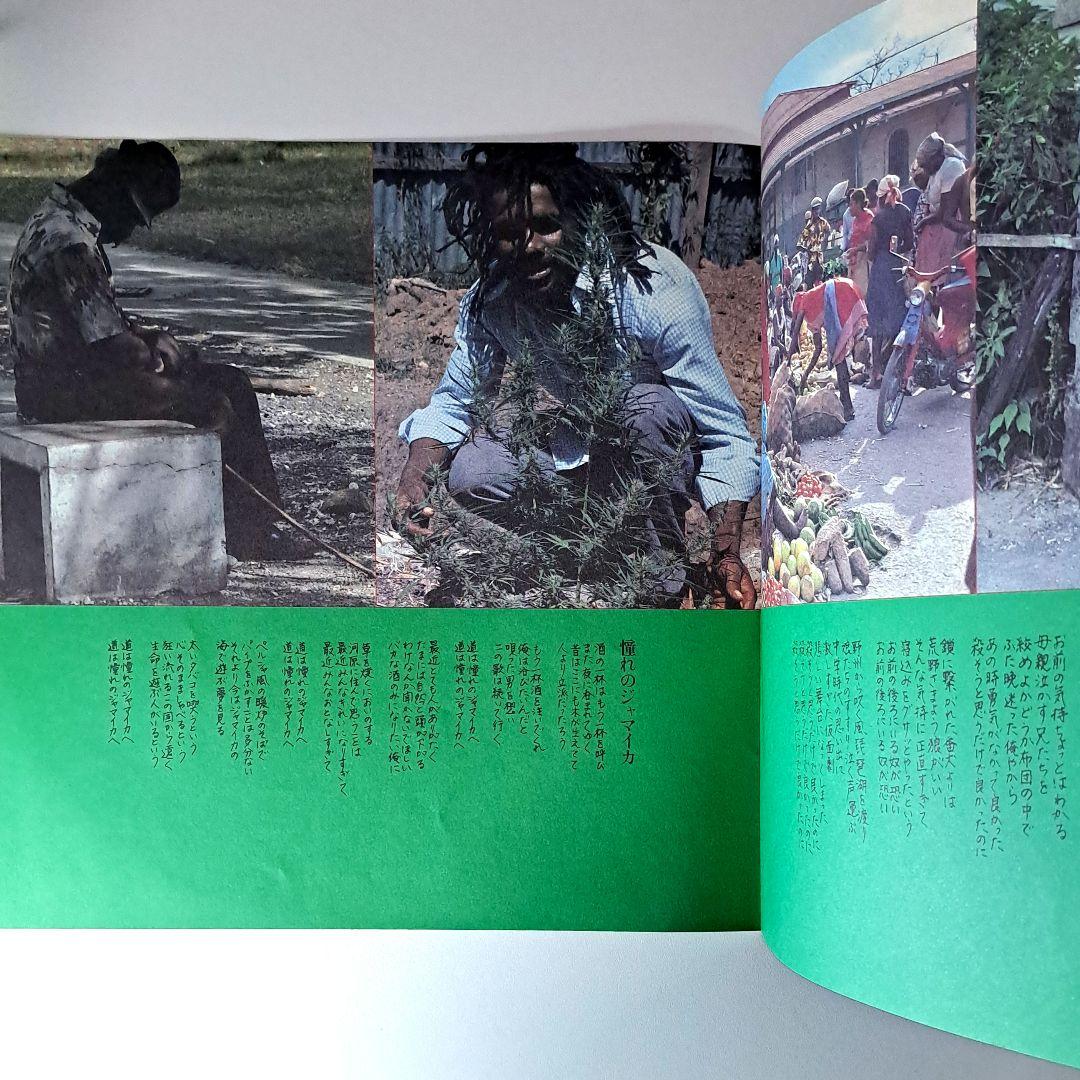 和レゲエ名盤　豊田勇造　血を越えて愛し合えたら　LP　Yuzo Toyoda