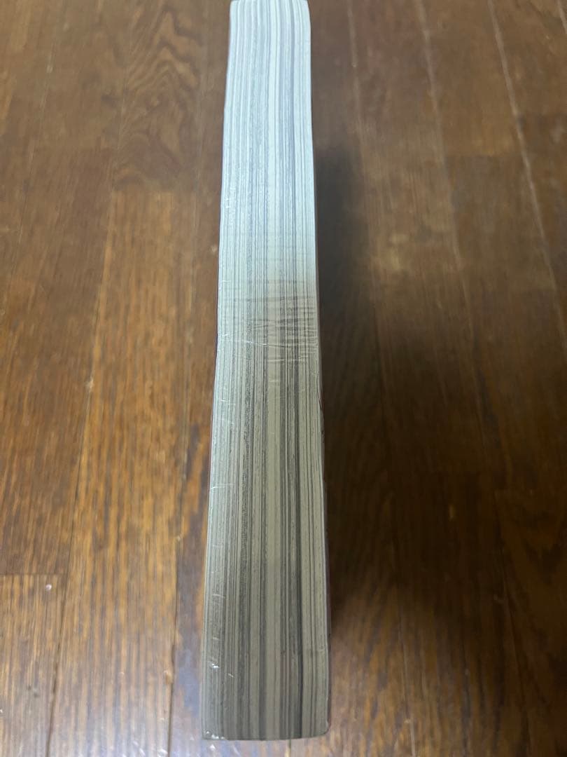 【シュリンク付き・新品・未開封】　月刊アフタヌーン　2023年　メダリスト表紙