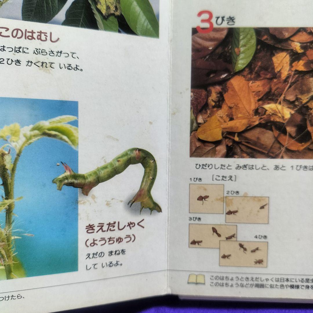絶版本！✨21世紀幼稚園百科 こんちゅう✨日高敏隆監修 虫図鑑 表紙カバーなし