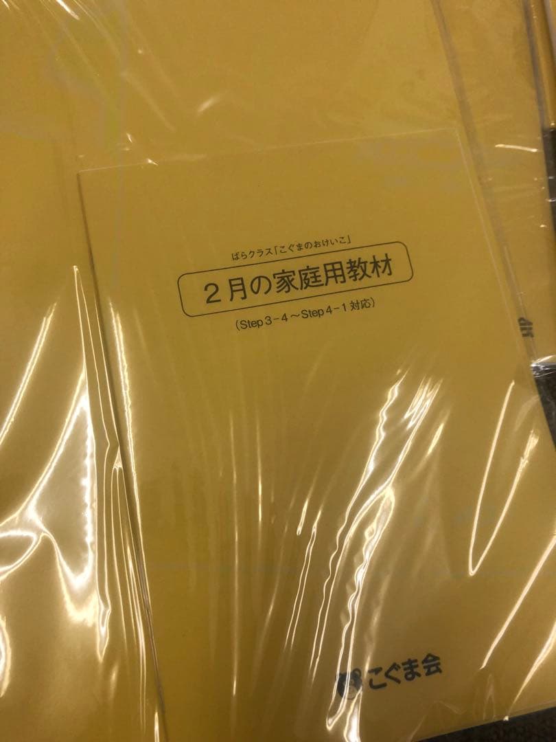 【未開封】こぐまのおけいこ 9冊セット（11〜7月）ばらクラス年長向け家庭用