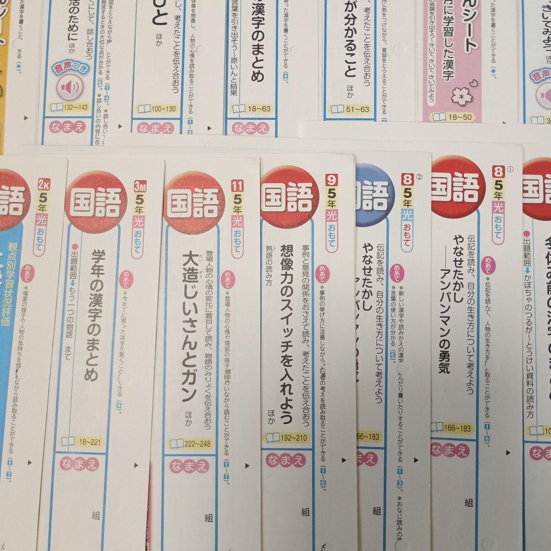 国語　小学校５年生　カラーテスト