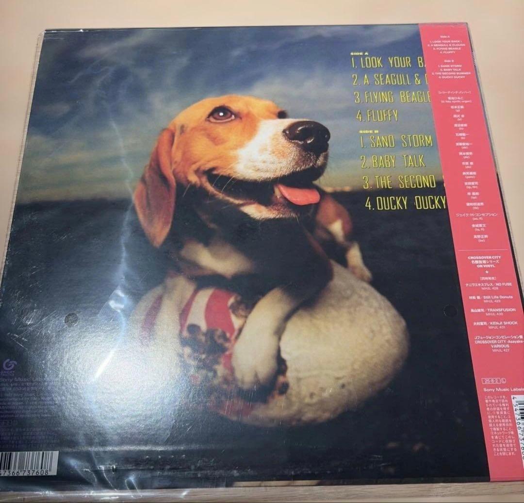 [レコード] 再発盤　菊池ひみこ　フライング　ビーグル　LP