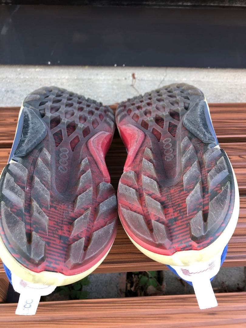 美品 ECCO BIOM H4 ゴルフシューズ 42 26.0cmスパイクレス