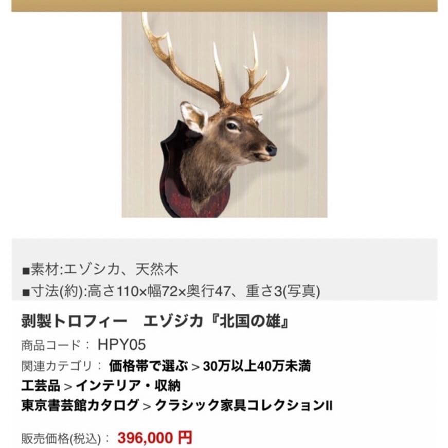 鹿の剥製