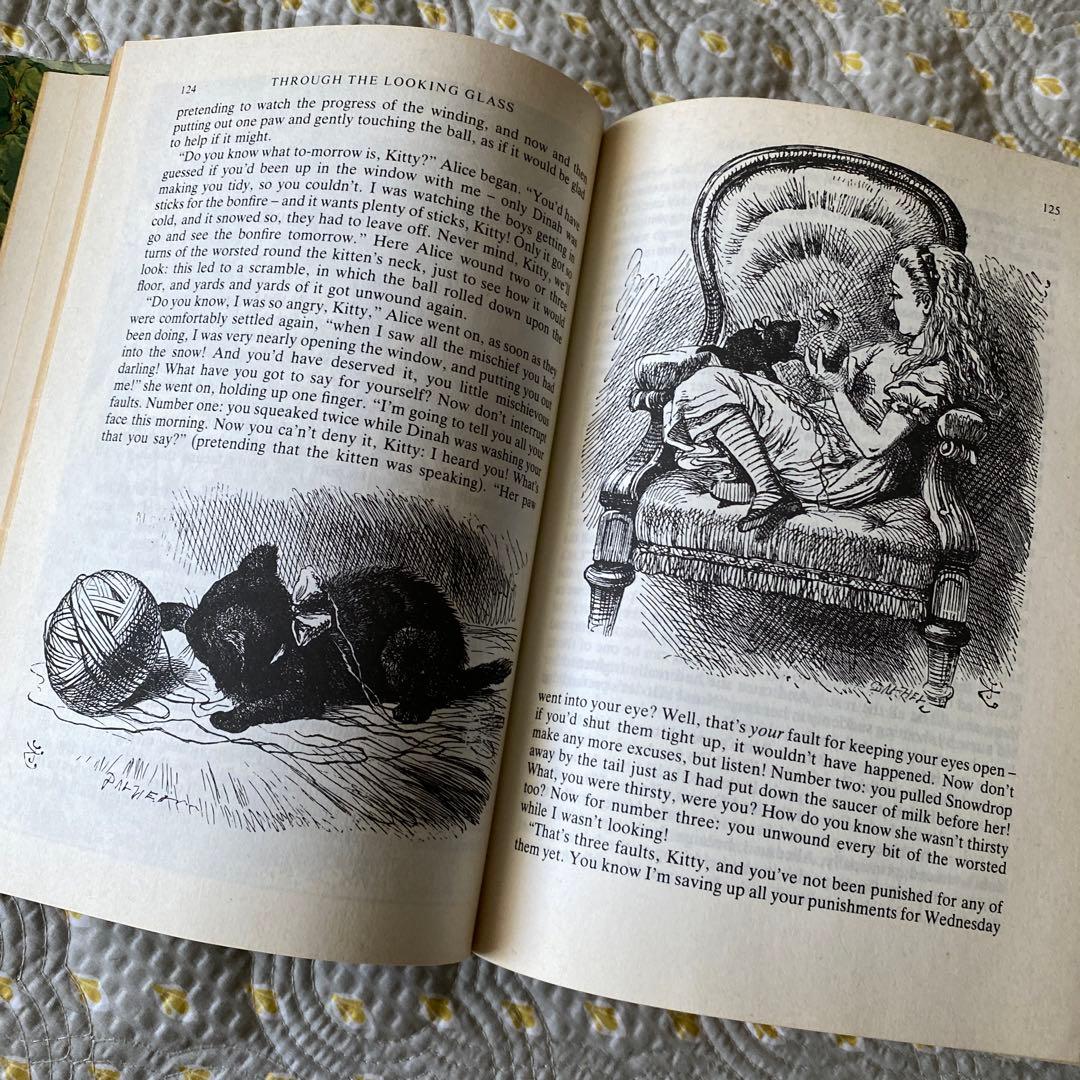 ルイス・キャロル 洋書 不思議の国のアリス アリス・イン・ワンダーランド