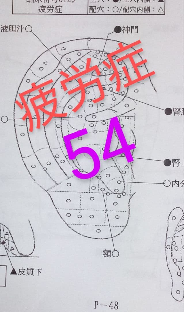 Bc:耳つぼ：耳臨床54例集+臓器/躯体ラミネート+解説冊子/プリント13set