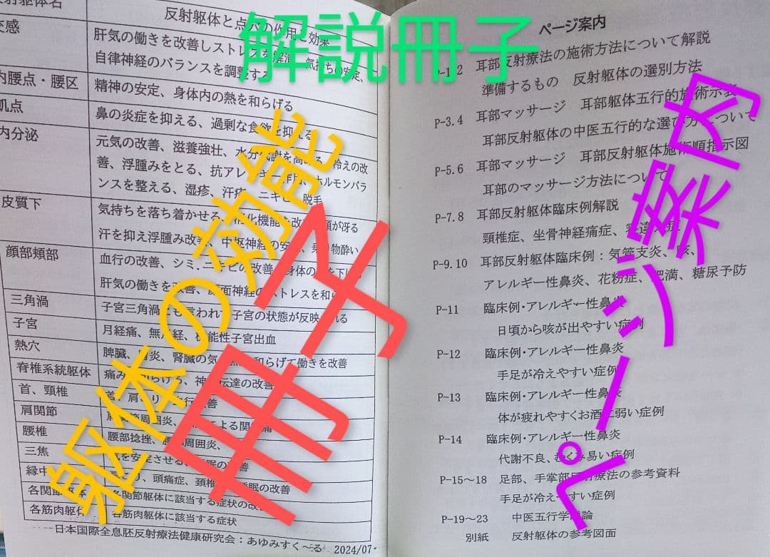 Bc:耳つぼ：耳臨床54例集+臓器/躯体ラミネート+解説冊子/プリント13set