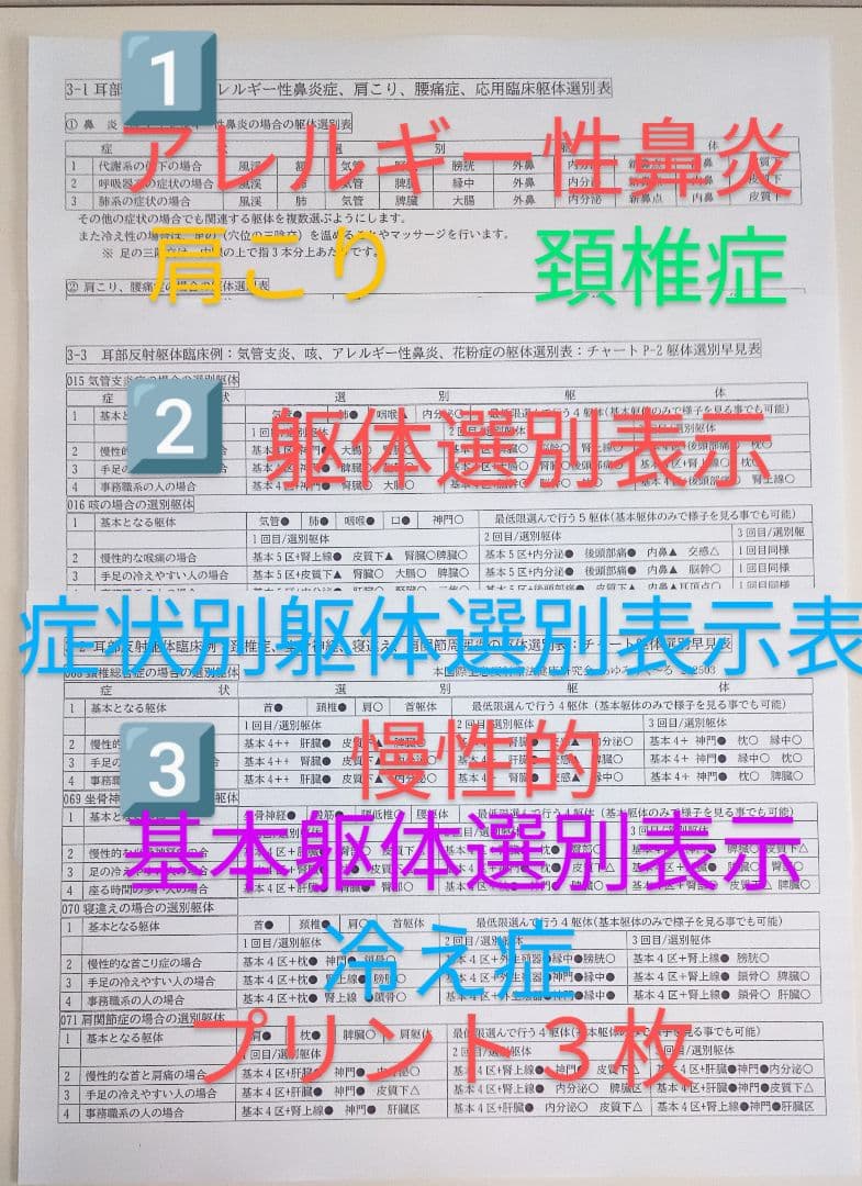 Bc:耳つぼ：耳臨床54例集+臓器/躯体ラミネート+解説冊子/プリント13set