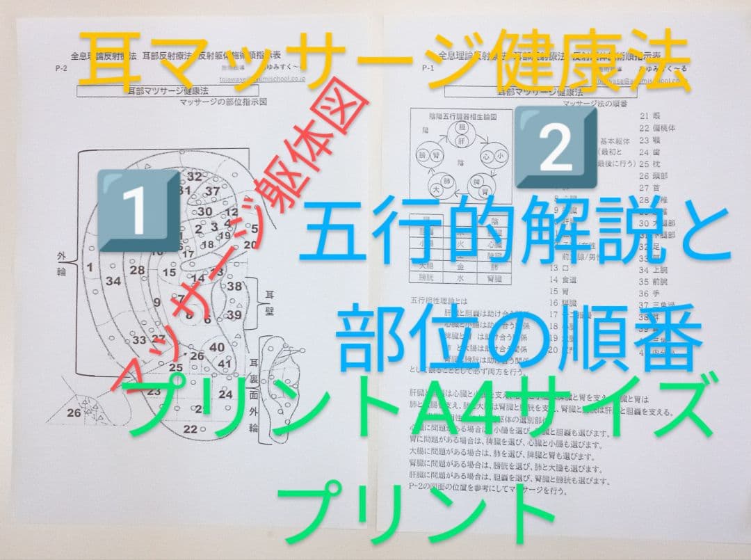 Bc:耳つぼ：耳臨床54例集+臓器/躯体ラミネート+解説冊子/プリント13set