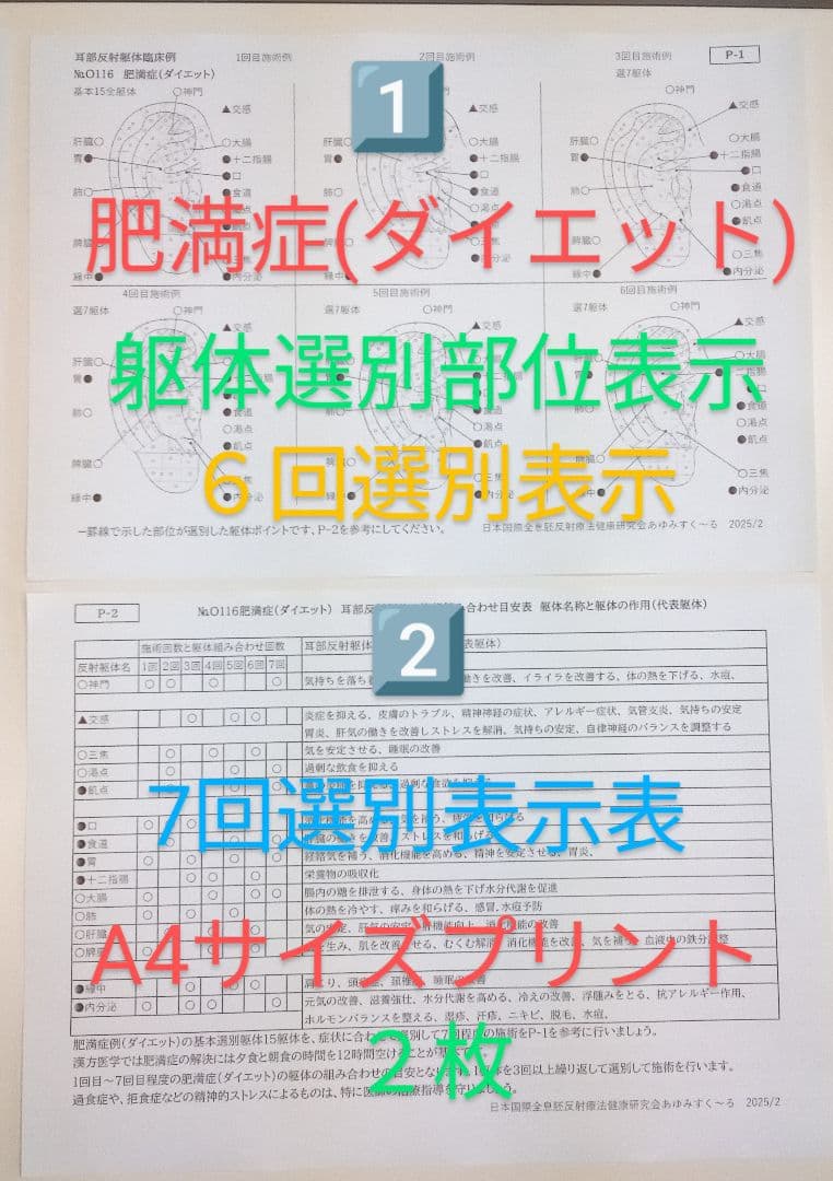 Bc:耳つぼ：耳臨床54例集+臓器/躯体ラミネート+解説冊子/プリント13set