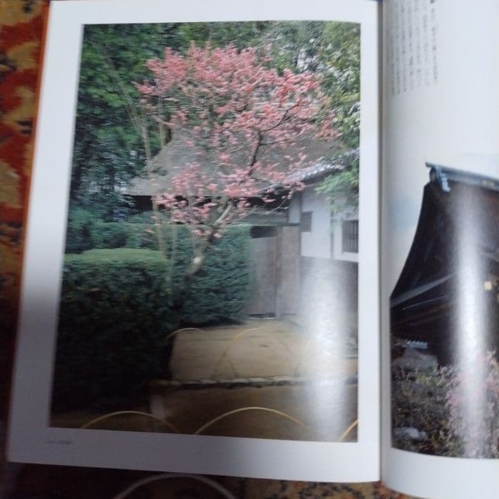 京都ずい遙、古都散策2冊