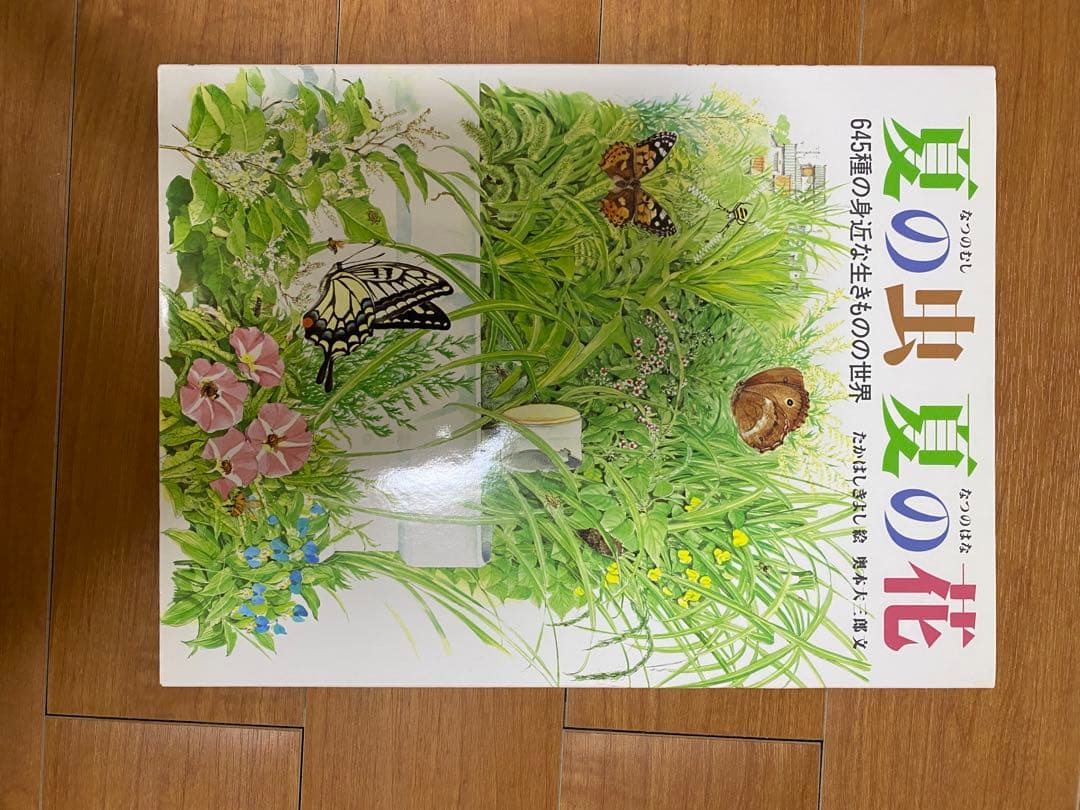 自然に関する絵本セット　12冊セット　福音館書店　全シリーズ
