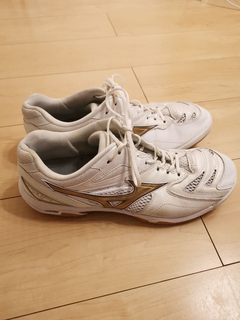 MIZUNO(ミズノ) バドミントンシューズ ウェーブファングPRO 27.5㎝