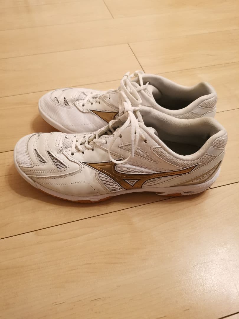 MIZUNO(ミズノ) バドミントンシューズ ウェーブファングPRO 27.5㎝