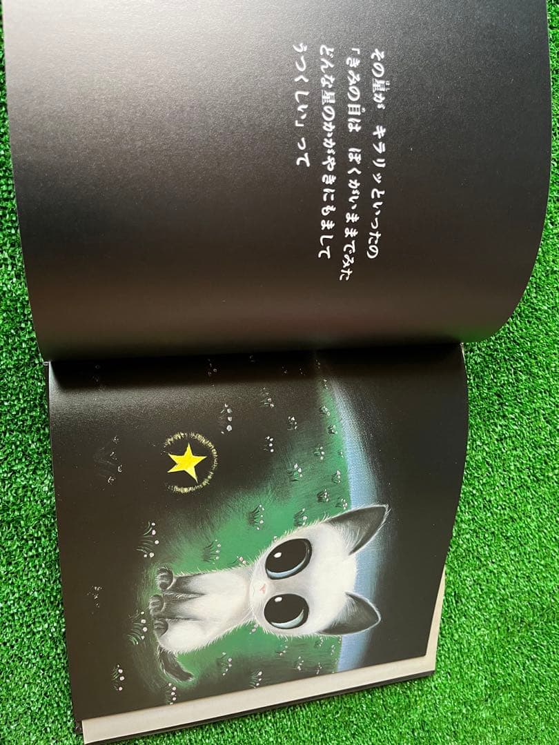 猫と星のおはなし