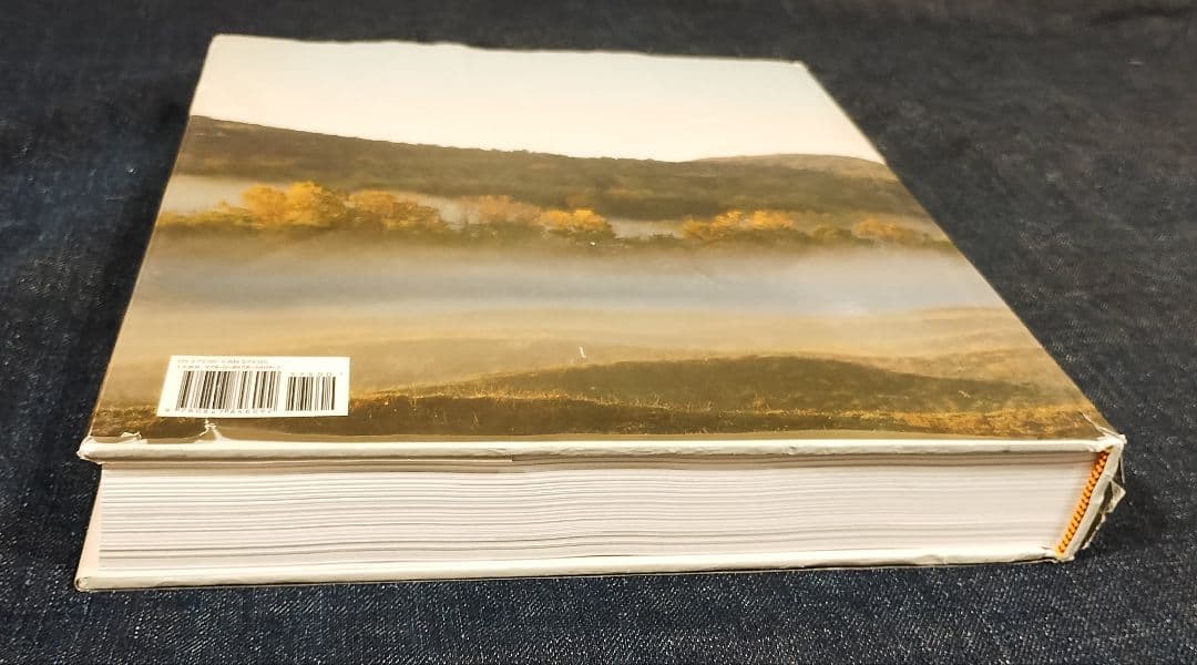 Maya Lin Topologies 建築 マヤ・リン