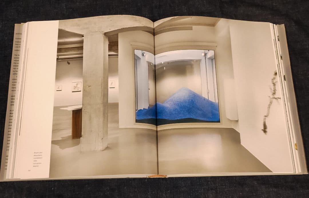 Maya Lin Topologies 建築 マヤ・リン