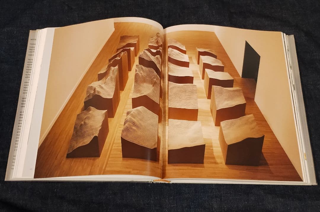 Maya Lin Topologies 建築 マヤ・リン