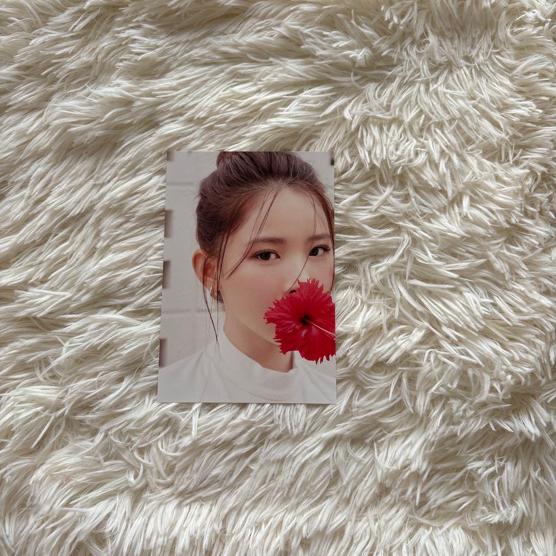 michi 25 1st PHOTO BOOK ポストカード付き