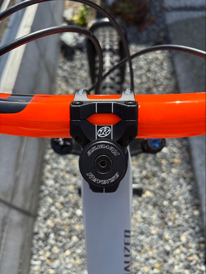 スペシャライズド　Stumpjumper LTD T-Type S2サイズ