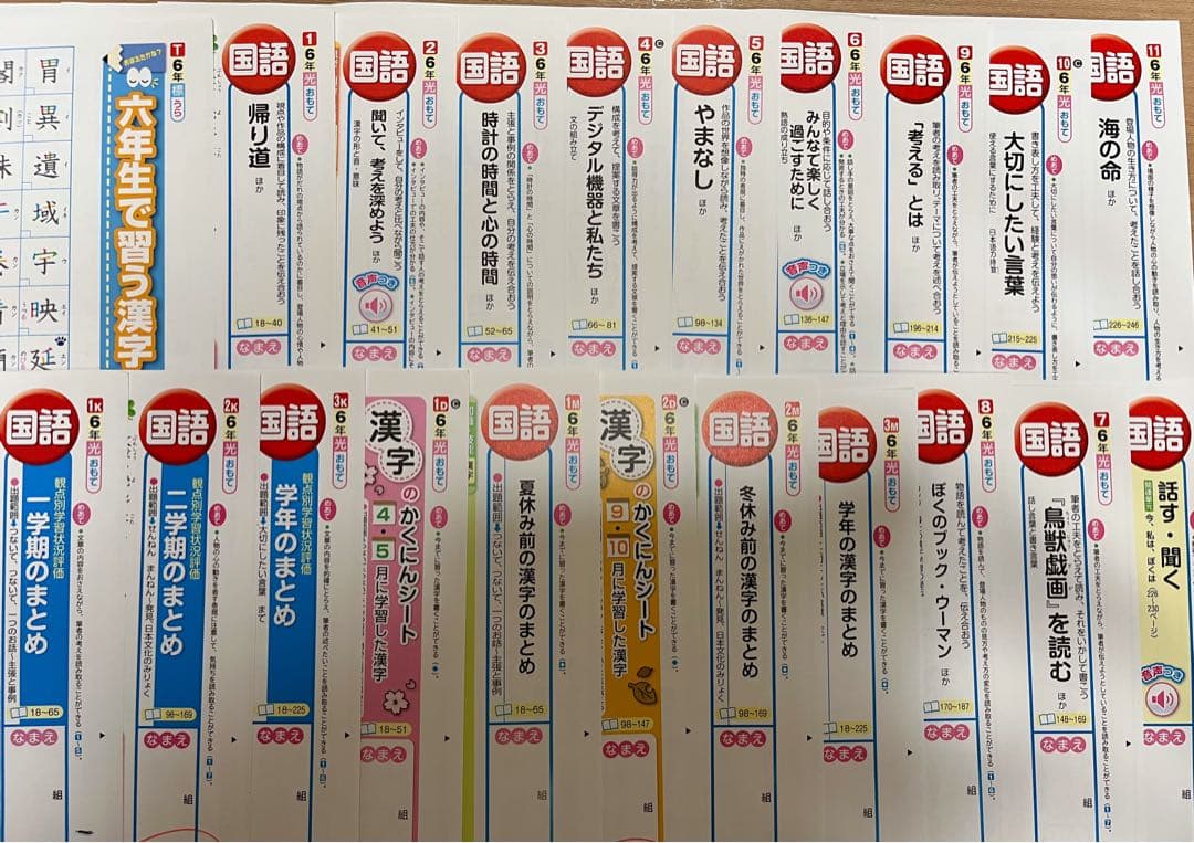 小学6年生 国語カラーテスト 光村図書　教育同人社