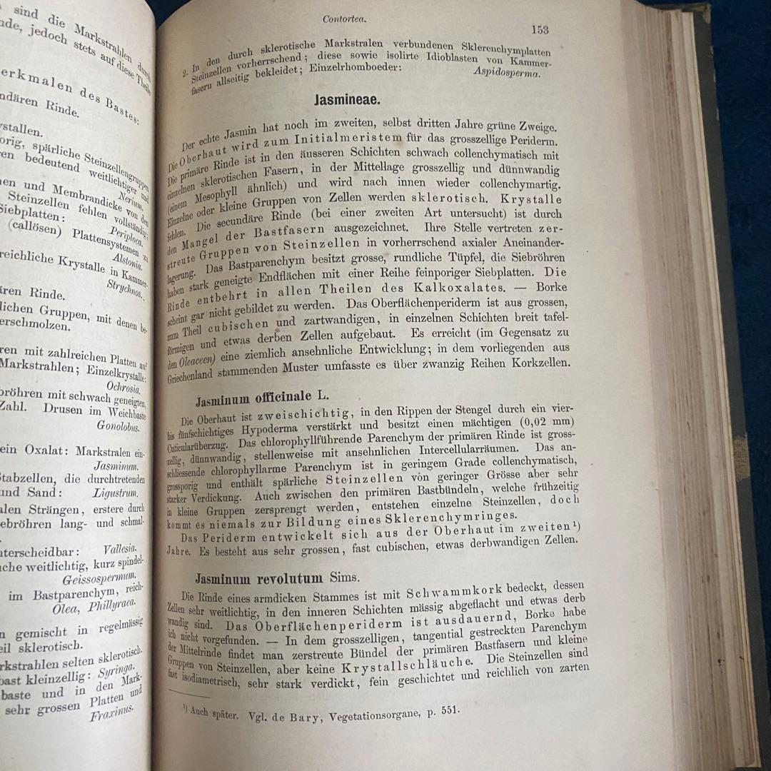 1882年 植物学 ドイツ古書 木の樹皮 解剖学ジョセフ モーラー博士 比較研究