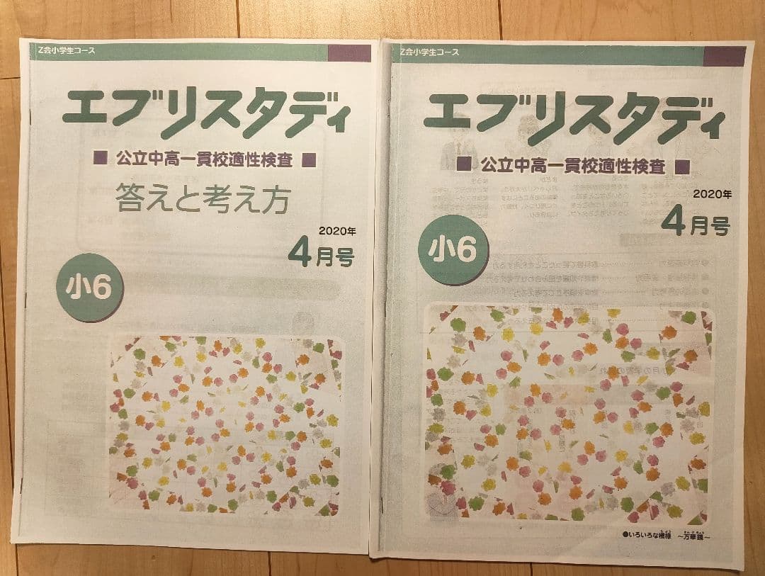 Z会 エブリスタディ 公立中高一貫校適性検査 小6 ほぼ1年分
