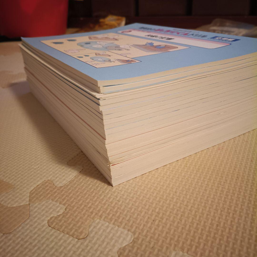 はっちりくんドリル 20冊セット　プラス　理英会　小学校受験　お受験
