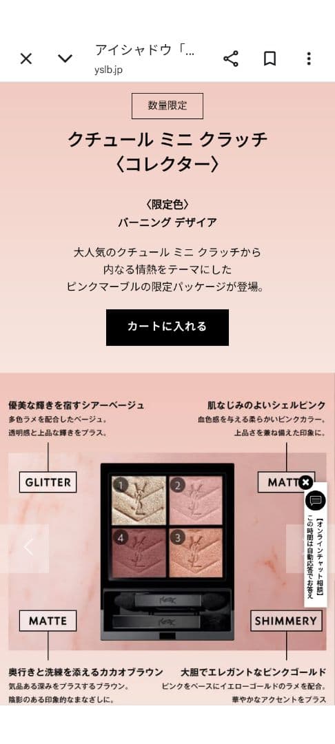 新品未使用 限定品 イブサンローランクチュール ミニクラッチ825 コレクター