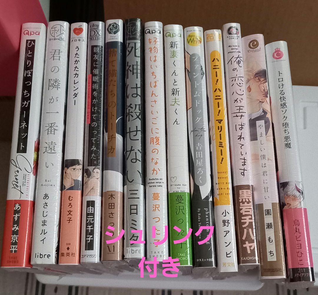 【値下げ】　BLコミック　まとめ売り　67冊　　　園瀬もち　やまち　楔ケリ