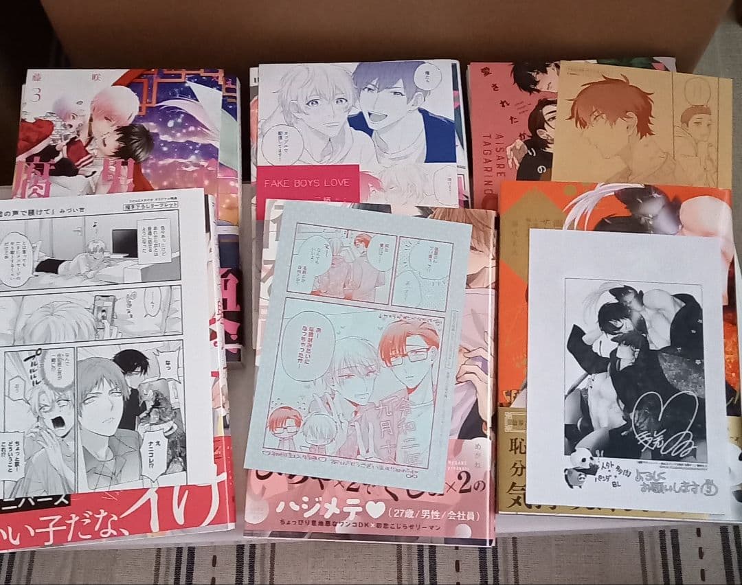 【値下げ】　BLコミック　まとめ売り　67冊　　　園瀬もち　やまち　楔ケリ