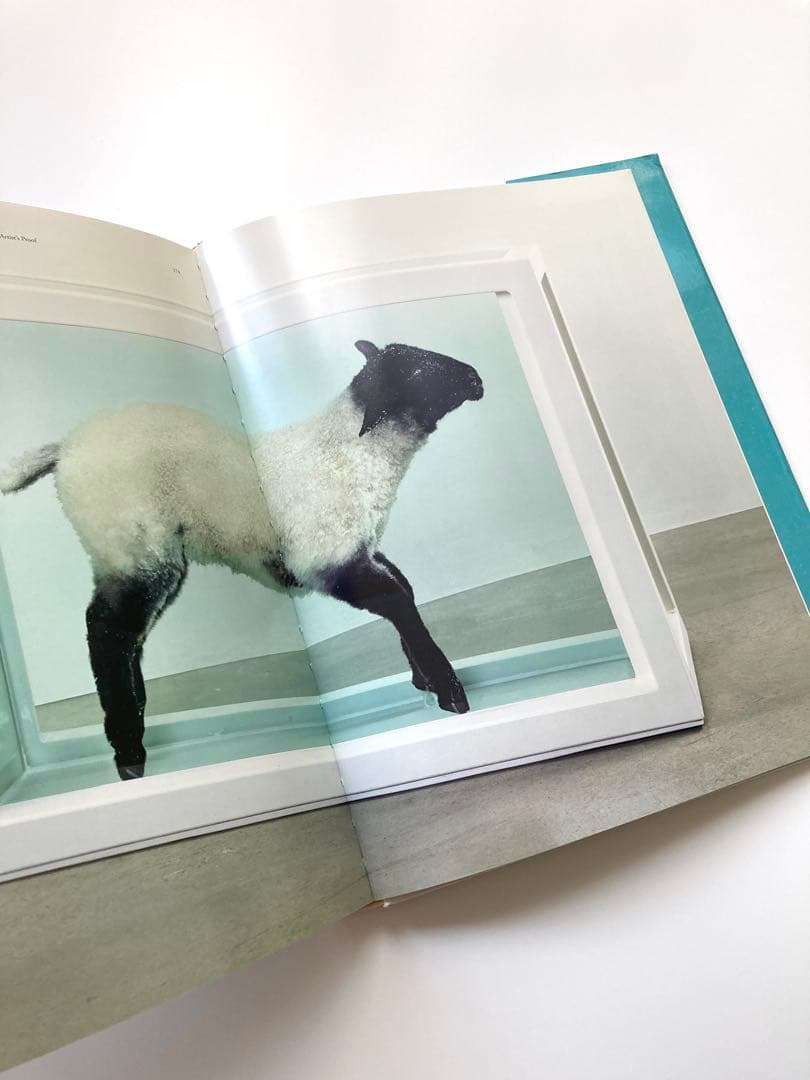 洋書図録【Damien Hirst】 Requiem I　ダミアン・ハースト