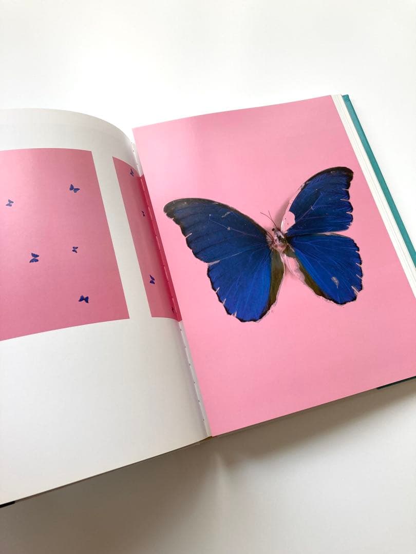 洋書図録【Damien Hirst】 Requiem I　ダミアン・ハースト