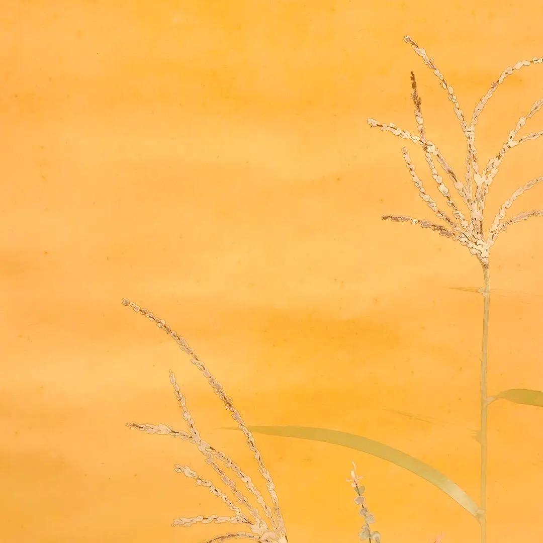 2792 佐藤玉芳 「秋草花」 共箱 肉筆 絹本 日本画 掛軸