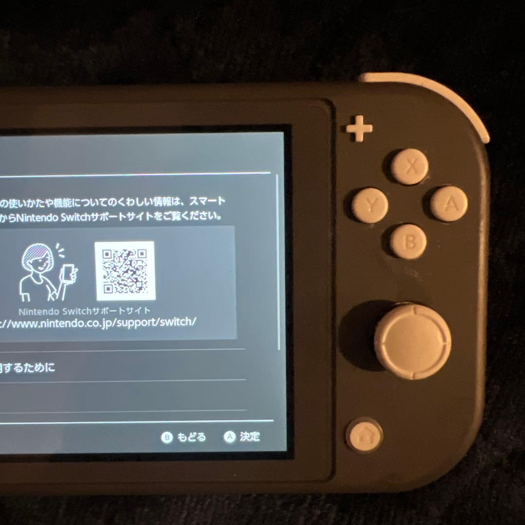 【ジャンク】Nintendo Switch Lite 本体&専用充電器