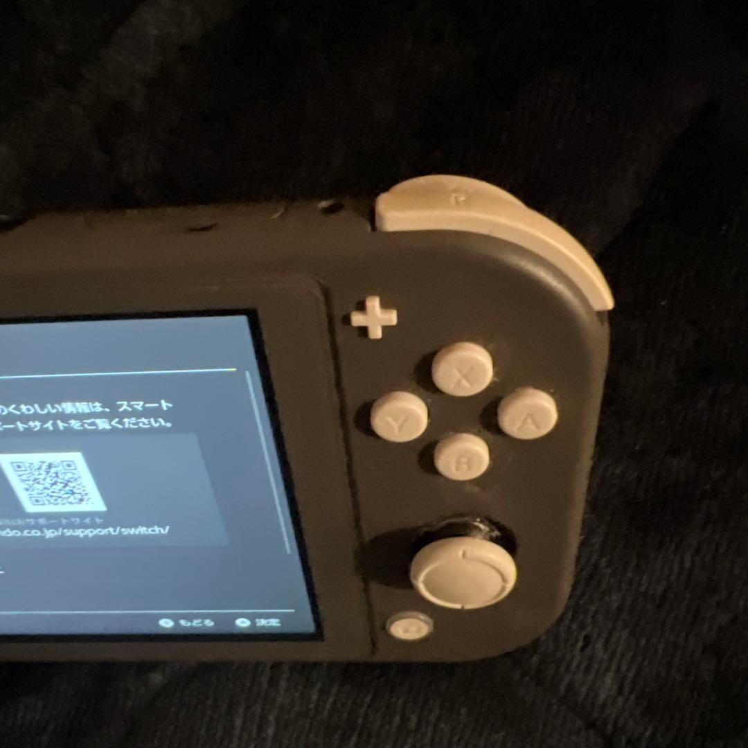 【ジャンク】Nintendo Switch Lite 本体&専用充電器