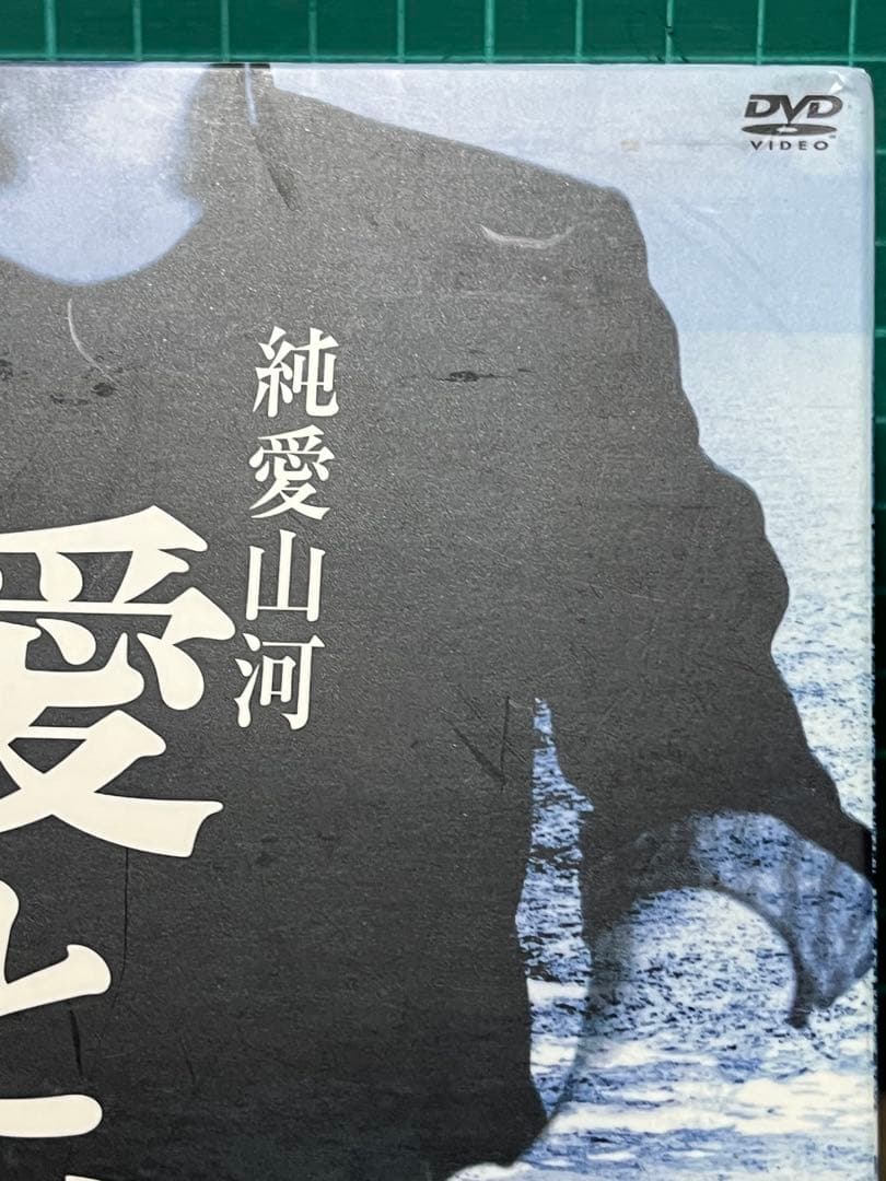 TVドラマ 純愛山河 愛と誠 DVD-BOX