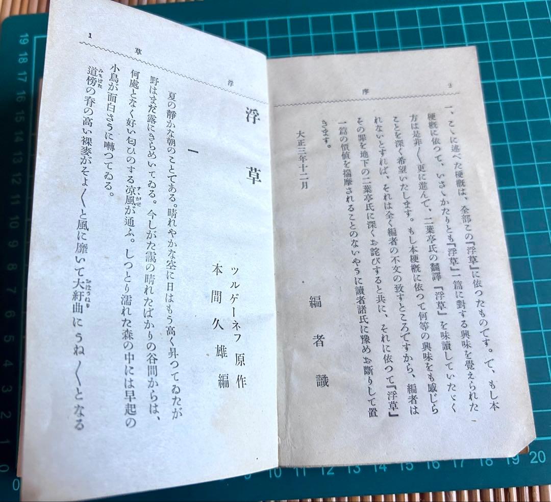 浮草 本間久雄 著 敬文館 大正4年発行