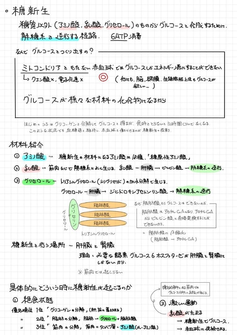 エッセンシャル細胞生物学 自作問題集
