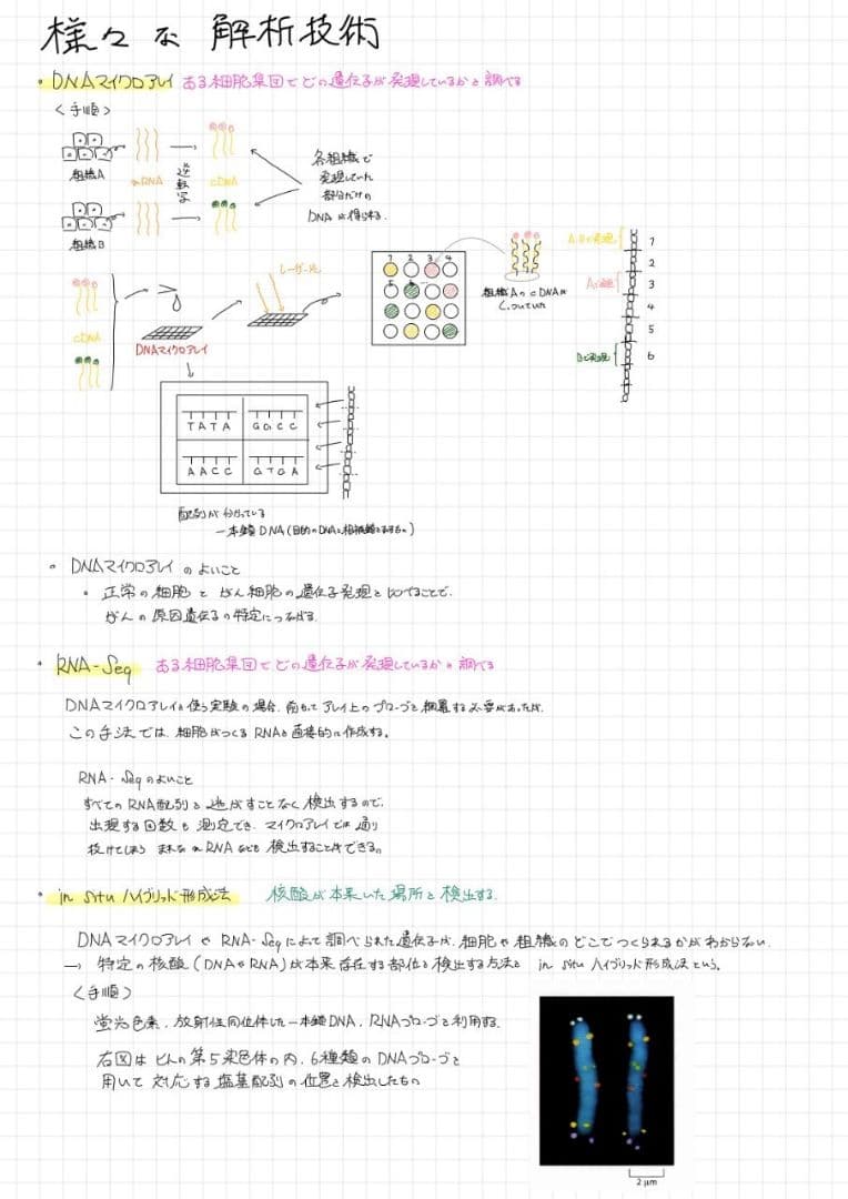 エッセンシャル細胞生物学 自作問題集