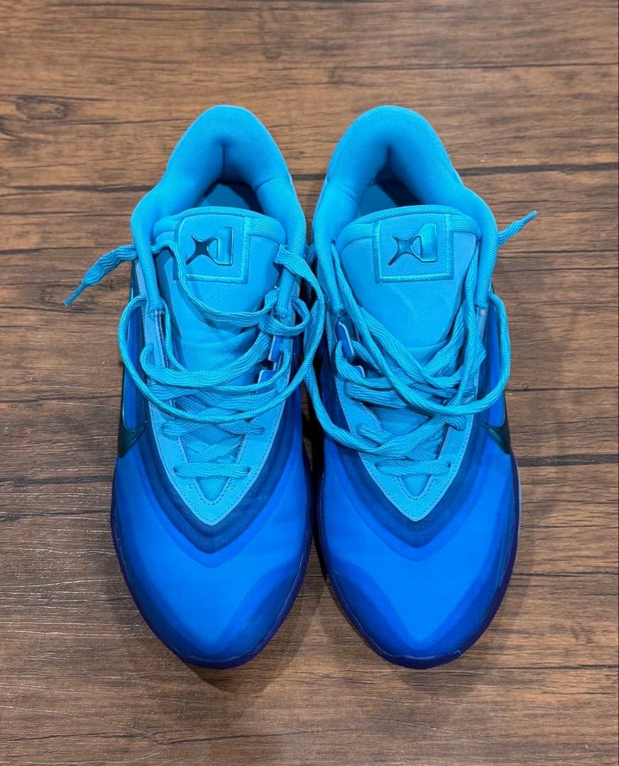 Nike A'One エイジャウィルソン 海外限定 29cm エーワン