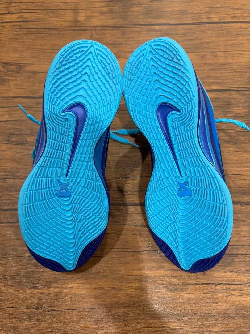 Nike A'One エイジャウィルソン 海外限定 29cm エーワン