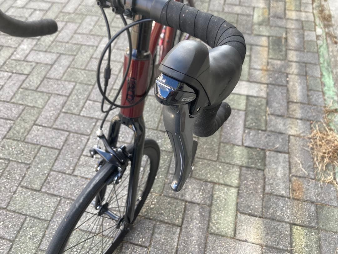 【美品】tern surge ミニベロ プチカスタム