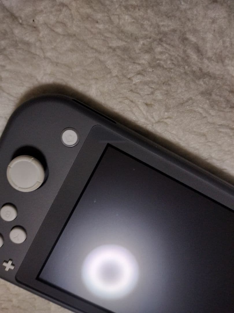動作品Nintendo Switch Lite グレー 本体極良品