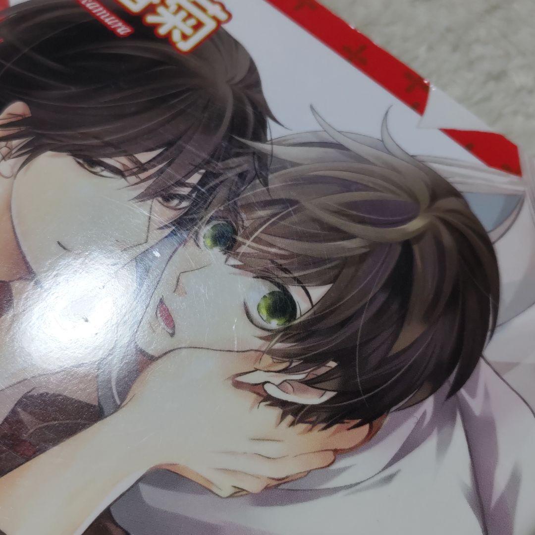 世界一初恋 全20巻 全巻セット 中村春菊 特装版 小冊子 6冊