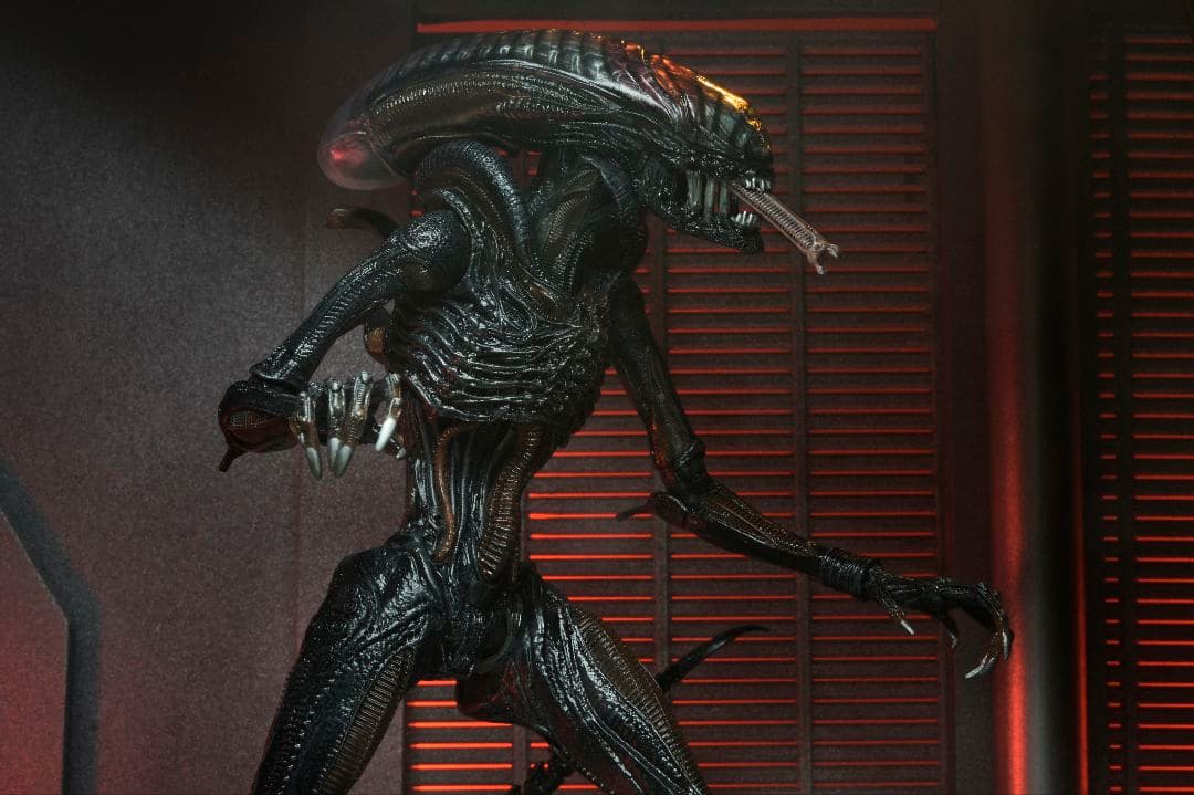 新品未開封 NECA ネカ エイリアンロムルス スコーチドゼノモーフ