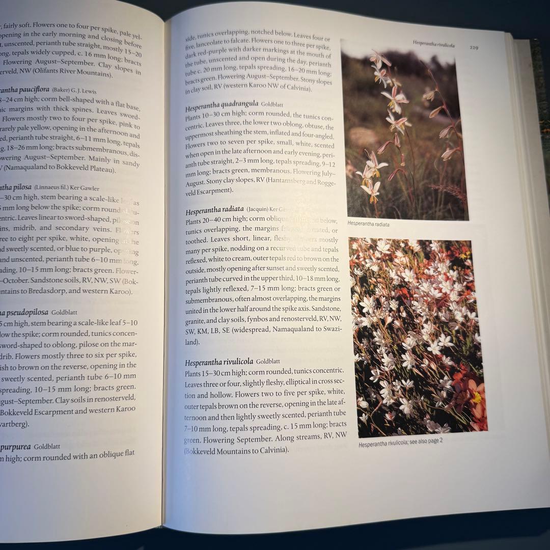 洋書　古書　希少　ヴィンテージ植物図鑑　繊細で美しい植物画