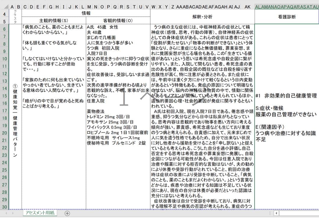 専用 看護学生 看護実習 看護過程 看護計画 アセスメント 手順書 関連図 資料