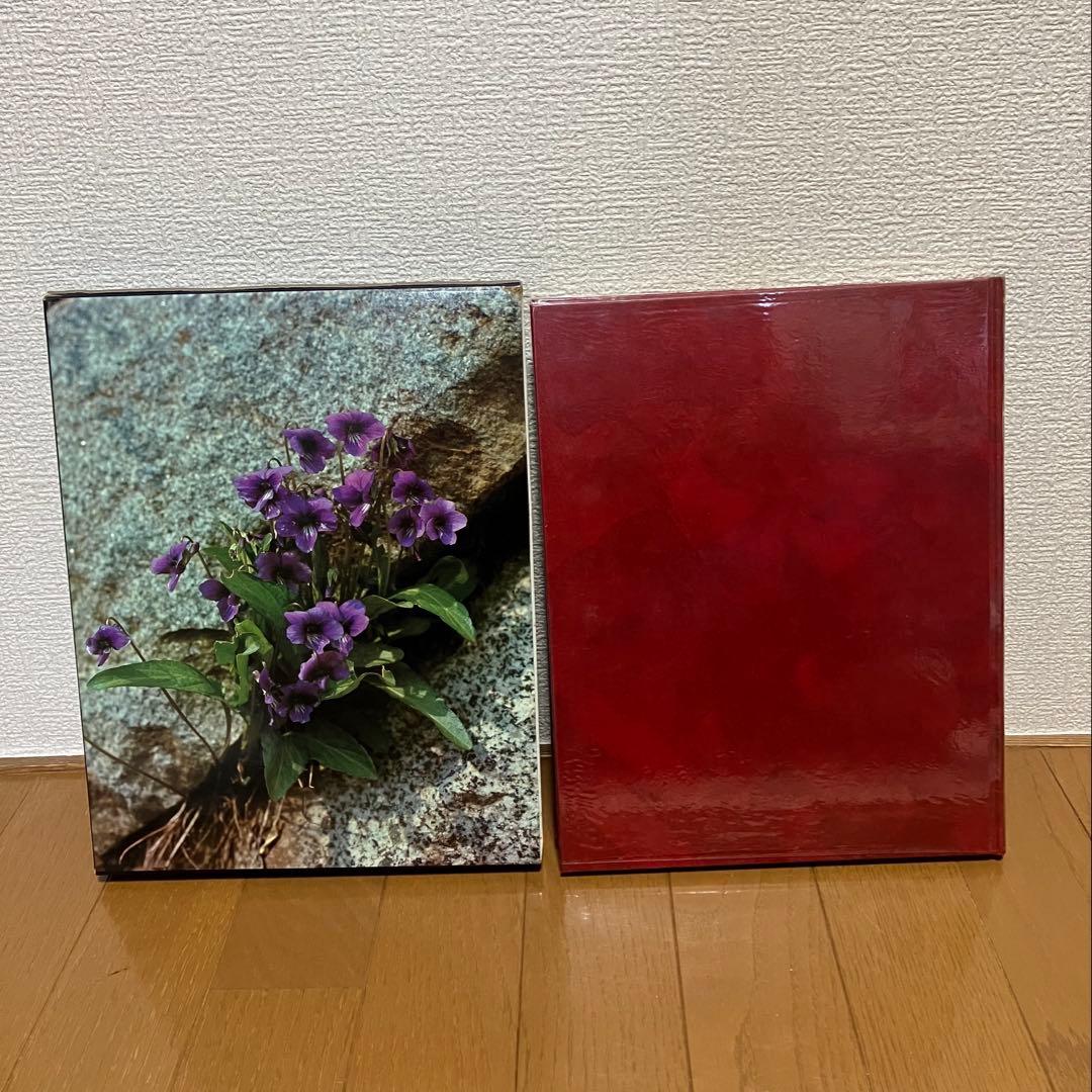 アサヒ百科 世界の植物 全12巻セット 植物図鑑