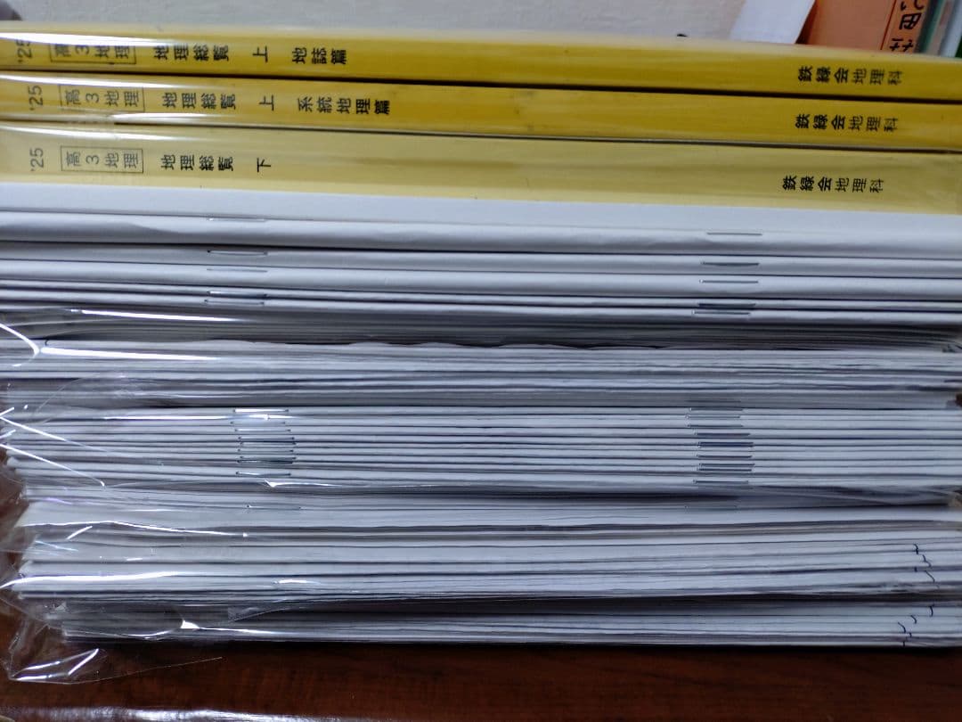鉄緑会2025 地理総覧3冊セット&講義プリ付＋夏期講習テキ解答解説冊子付